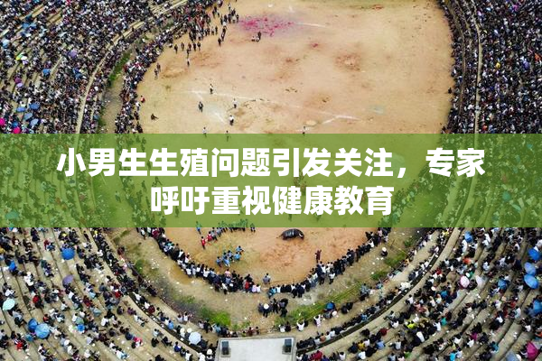 小男生生殖问题引发关注，专家呼吁重视健康教育