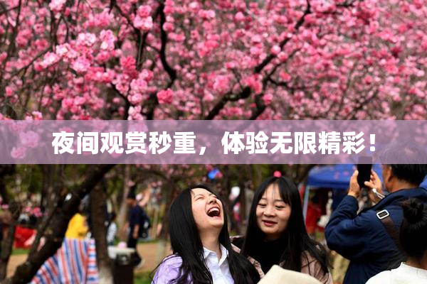 夜间观赏秒重，体验无限精彩！