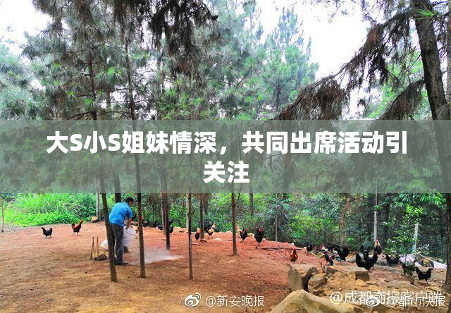 大S小S姐妹情深，共同出席活动引关注