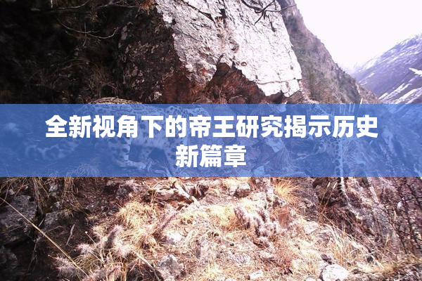 全新视角下的帝王研究揭示历史新篇章
