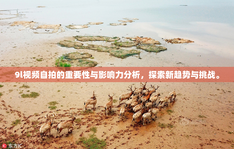 9l视频自拍的重要性与影响力分析，探索新趋势与挑战。