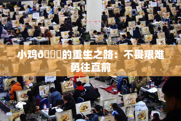 小鸡🐔的重生之路：不畏艰难勇往直前
