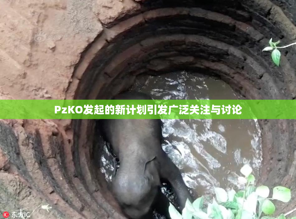 PzKO发起的新计划引发广泛关注与讨论