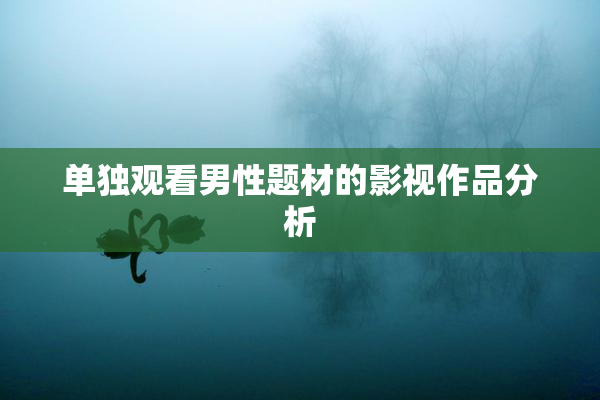 单独观看男性题材的影视作品分析