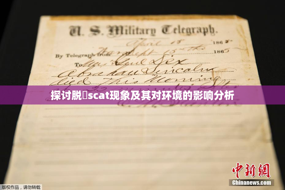 探讨脱糞scat现象及其对环境的影响分析