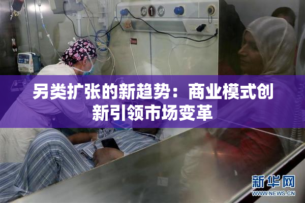 另类扩张的新趋势：商业模式创新引领市场变革