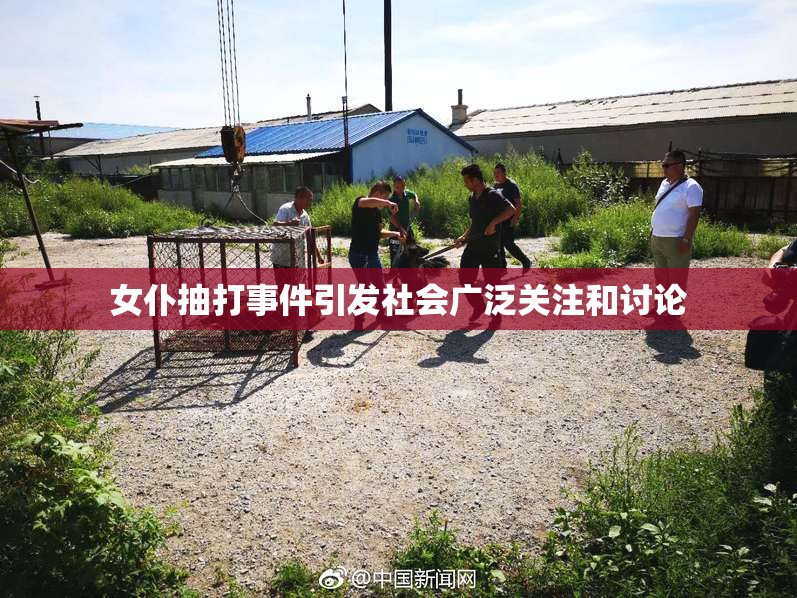 女仆抽打事件引发社会广泛关注和讨论