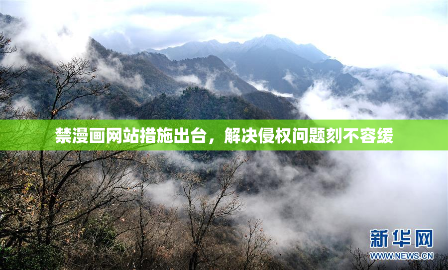 禁漫画网站措施出台，解决侵权问题刻不容缓