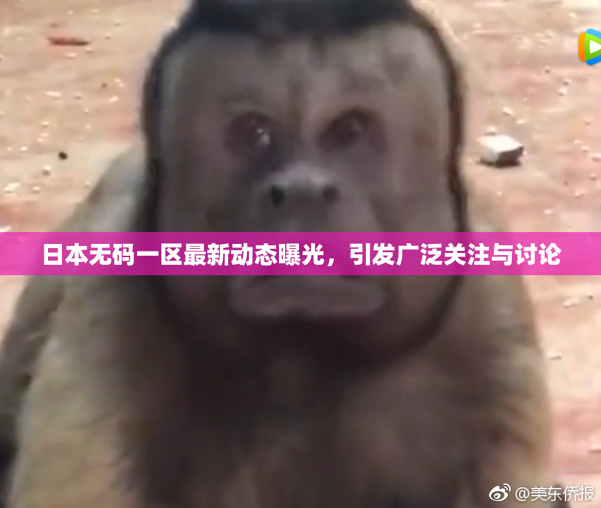 日本无码一区最新动态曝光，引发广泛关注与讨论