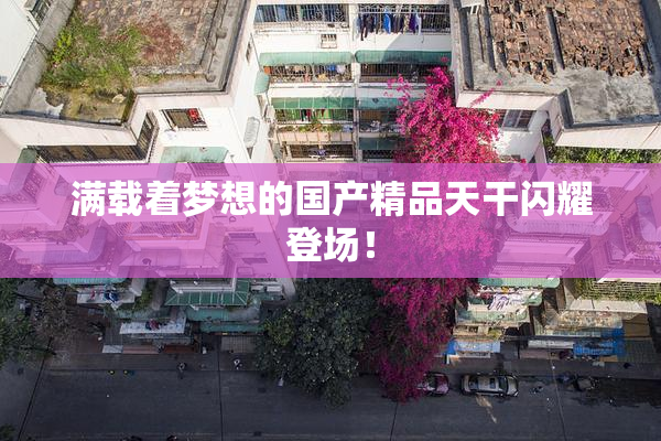 满载着梦想的国产精品天干闪耀登场！