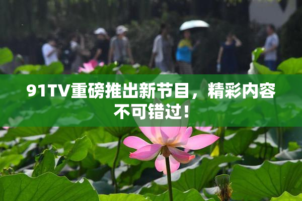 91TV重磅推出新节目，精彩内容不可错过！