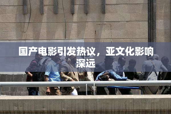 国产电影引发热议，亚文化影响深远