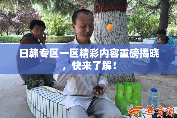 日韩专区一区精彩内容重磅揭晓，快来了解！