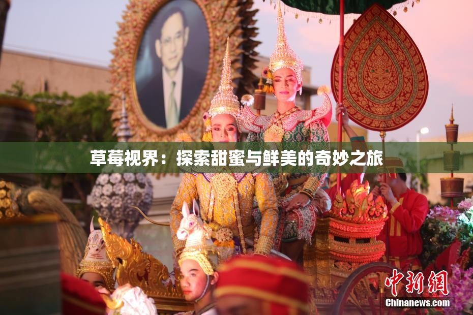 草莓视界：探索甜蜜与鲜美的奇妙之旅