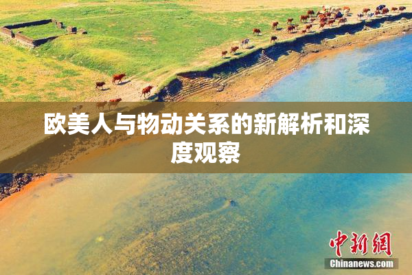 欧美人与物动关系的新解析和深度观察