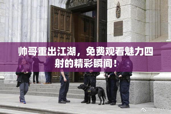 帅哥重出江湖，免费观看魅力四射的精彩瞬间！
