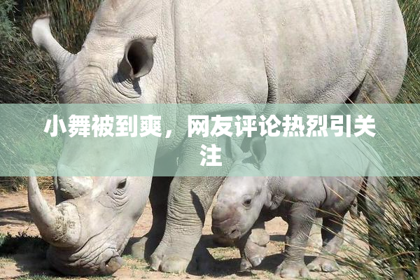 小舞被到爽，网友评论热烈引关注