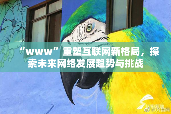 “www”重塑互联网新格局，探索未来网络发展趋势与挑战