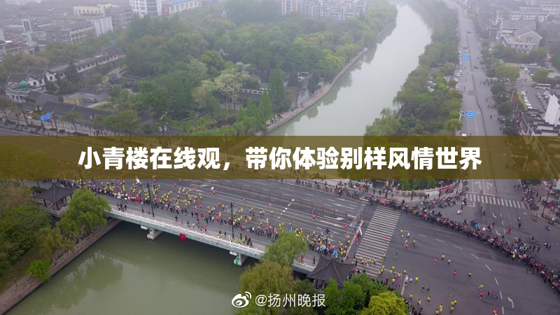 小青楼在线观，带你体验别样风情世界
