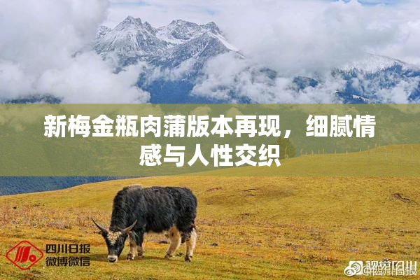 新梅金瓶肉蒲版本再现，细腻情感与人性交织