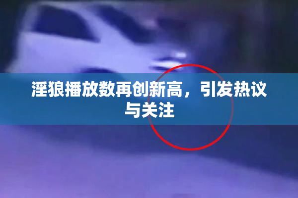 淫狼播放数再创新高，引发热议与关注