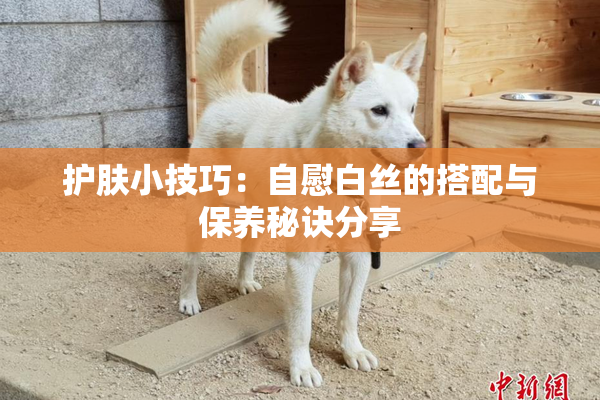 护肤小技巧：自慰白丝的搭配与保养秘诀分享