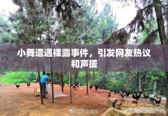 小舞遭遇裸露事件，引发网友热议和声援