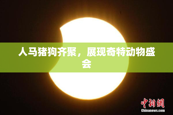 人马猪狗齐聚，展现奇特动物盛会