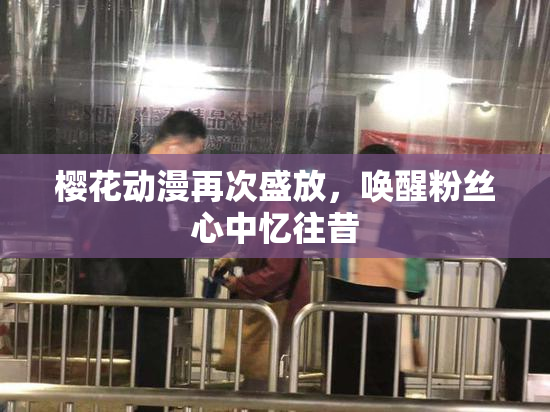 樱花动漫再次盛放，唤醒粉丝心中忆往昔