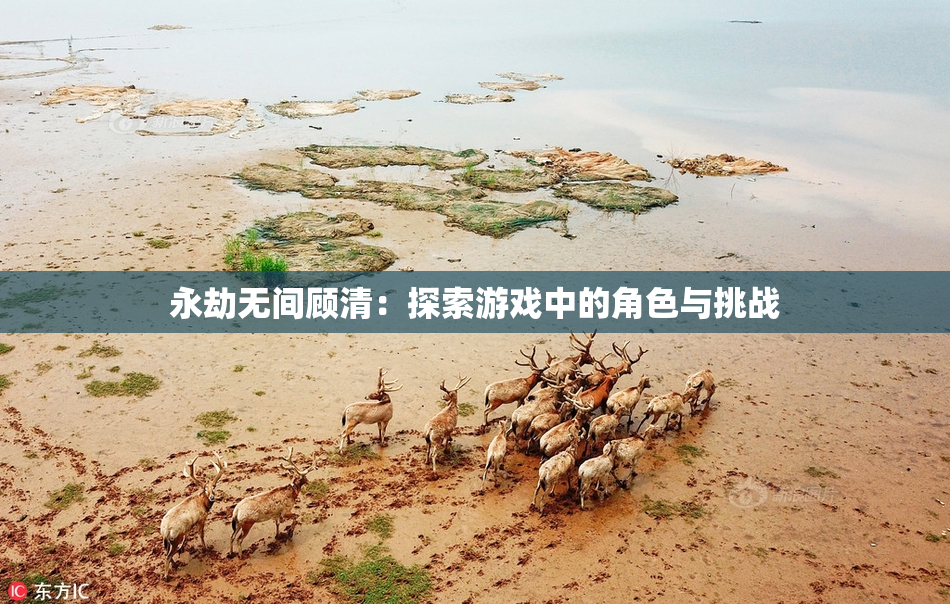 永劫无间顾清：探索游戏中的角色与挑战