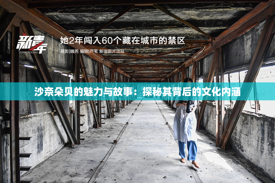 沙奈朵贝的魅力与故事：探秘其背后的文化内涵