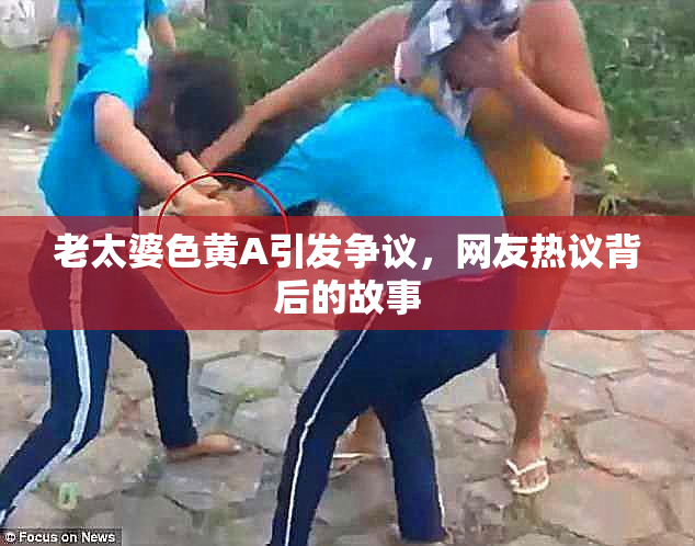 老太婆色黄A引发争议，网友热议背后的故事
