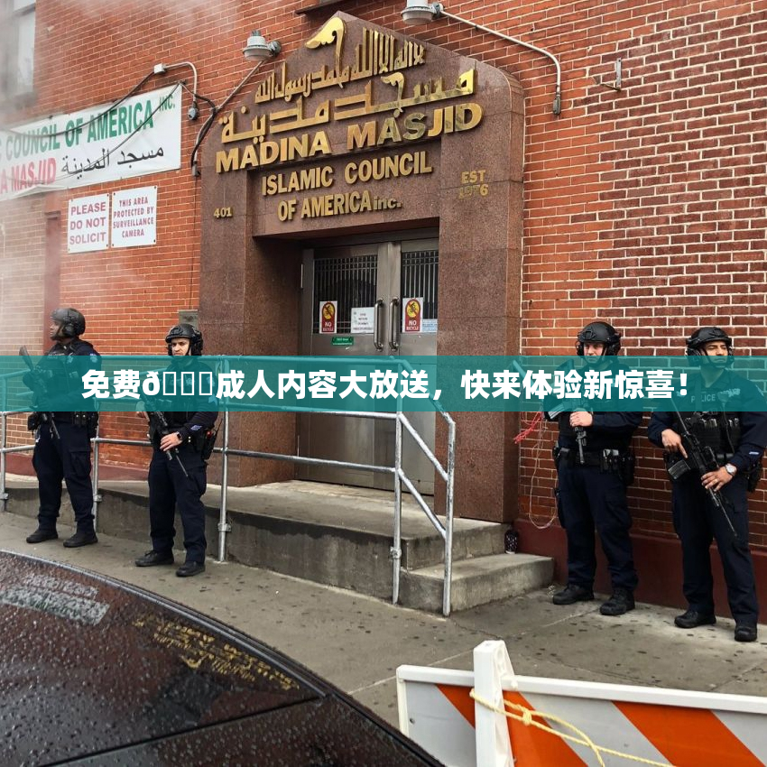 免费🔞成人内容大放送，快来体验新惊喜！