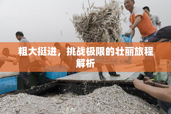 粗大挺进，挑战极限的壮丽旅程解析