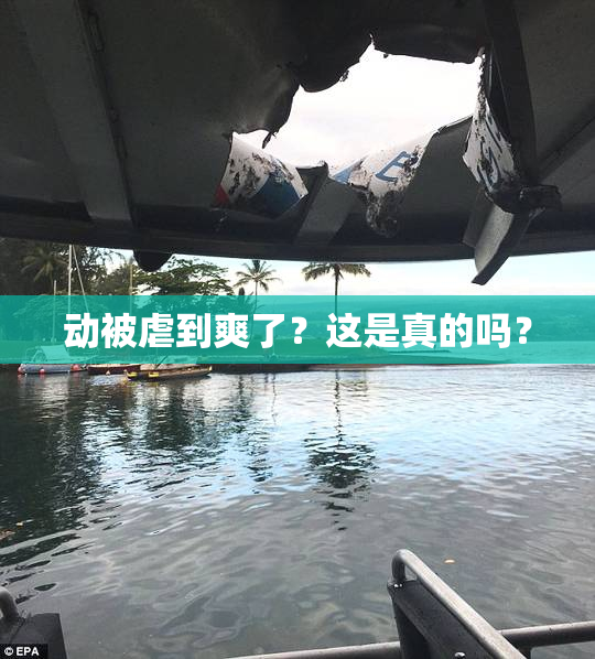 动被虐到爽了？这是真的吗？