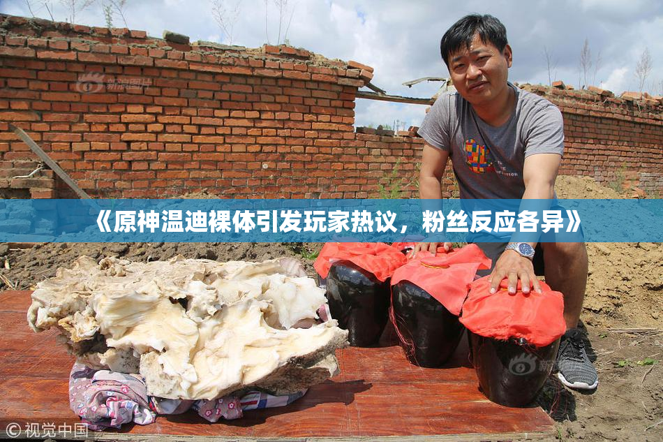 《原神温迪裸体引发玩家热议，粉丝反应各异》