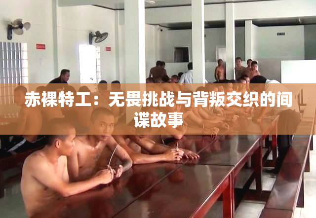 赤裸特工：无畏挑战与背叛交织的间谍故事