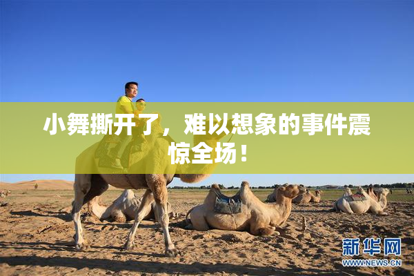 小舞撕开了，难以想象的事件震惊全场！