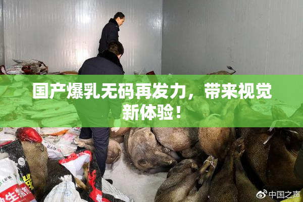 国产爆乳无码再发力，带来视觉新体验！