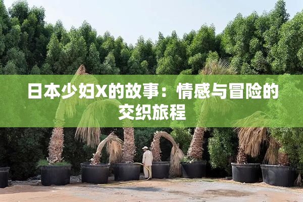 日本少妇X的故事：情感与冒险的交织旅程