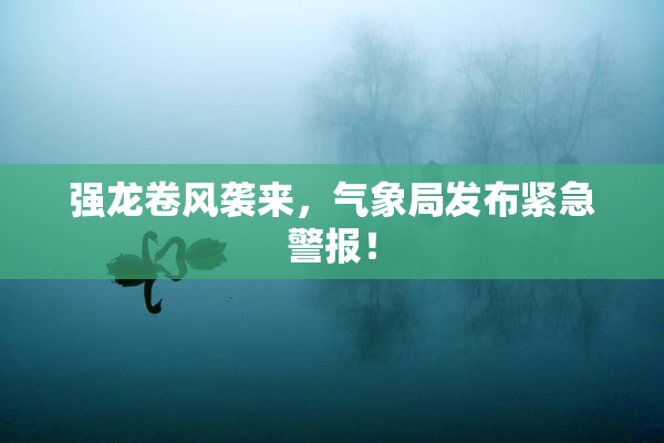 强龙卷风袭来，气象局发布紧急警报！