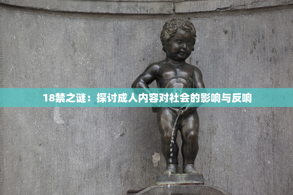 18禁之谜：探讨成人内容对社会的影响与反响