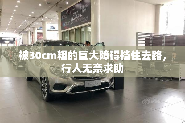被30cm粗的巨大障碍挡住去路，行人无奈求助