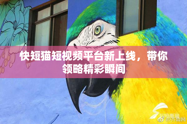 快短猫短视频平台新上线，带你领略精彩瞬间