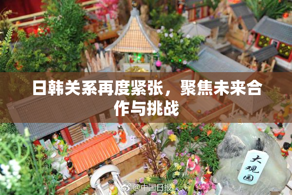 日韩关系再度紧张，聚焦未来合作与挑战