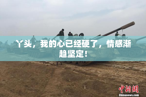 丫头，我的心已经硬了，情感渐趋坚定！