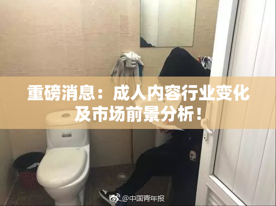 重磅消息：成人内容行业变化及市场前景分析！