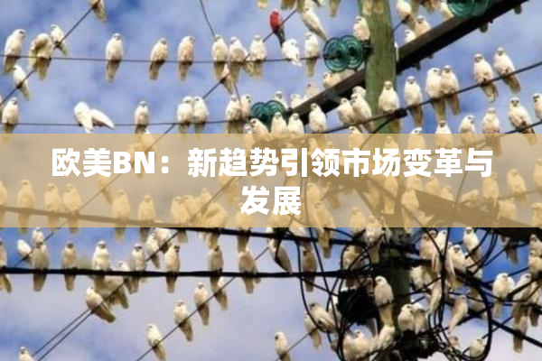 欧美BN：新趋势引领市场变革与发展