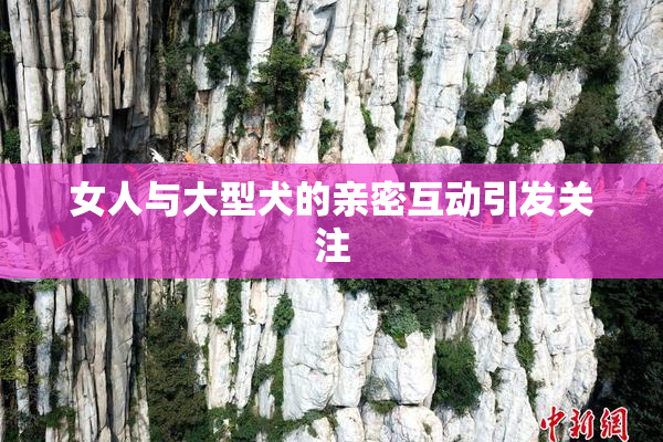 女人与大型犬的亲密互动引发关注