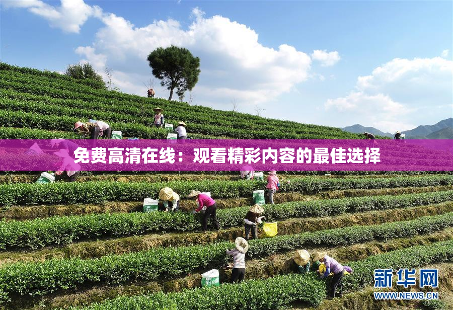 免费高清在线：观看精彩内容的最佳选择